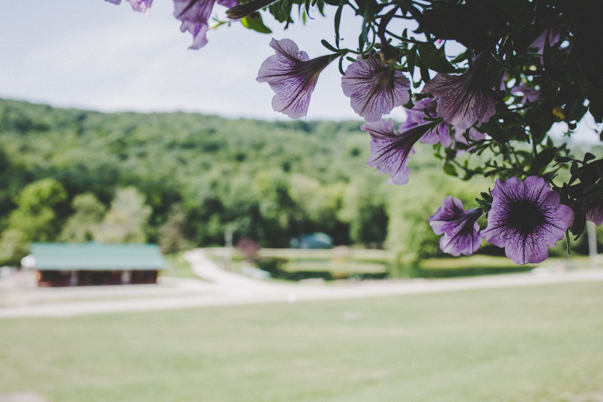 Camp Li-Lo-Li — photo 2